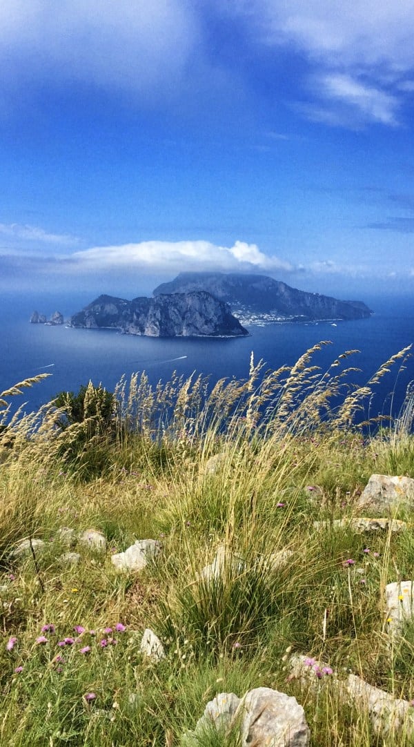 Blick auf Capri vom CAI 300 aus