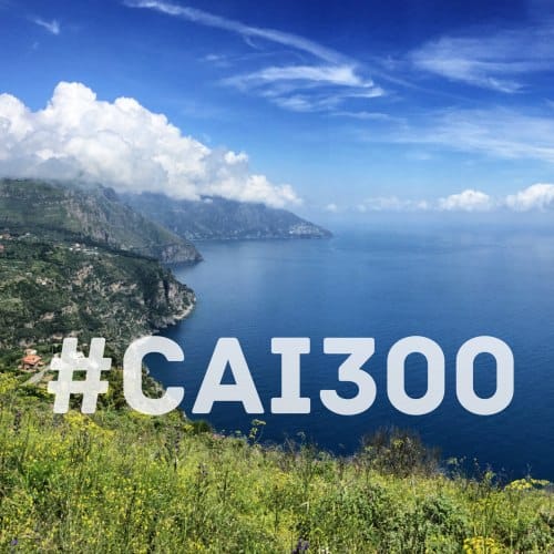 CAI300 Instagram Hashtag