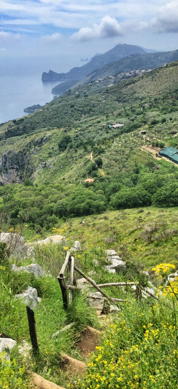 Wandern an der Amalfiküste Etappe 5 Capri und die markanten Felsspitzen im Blick